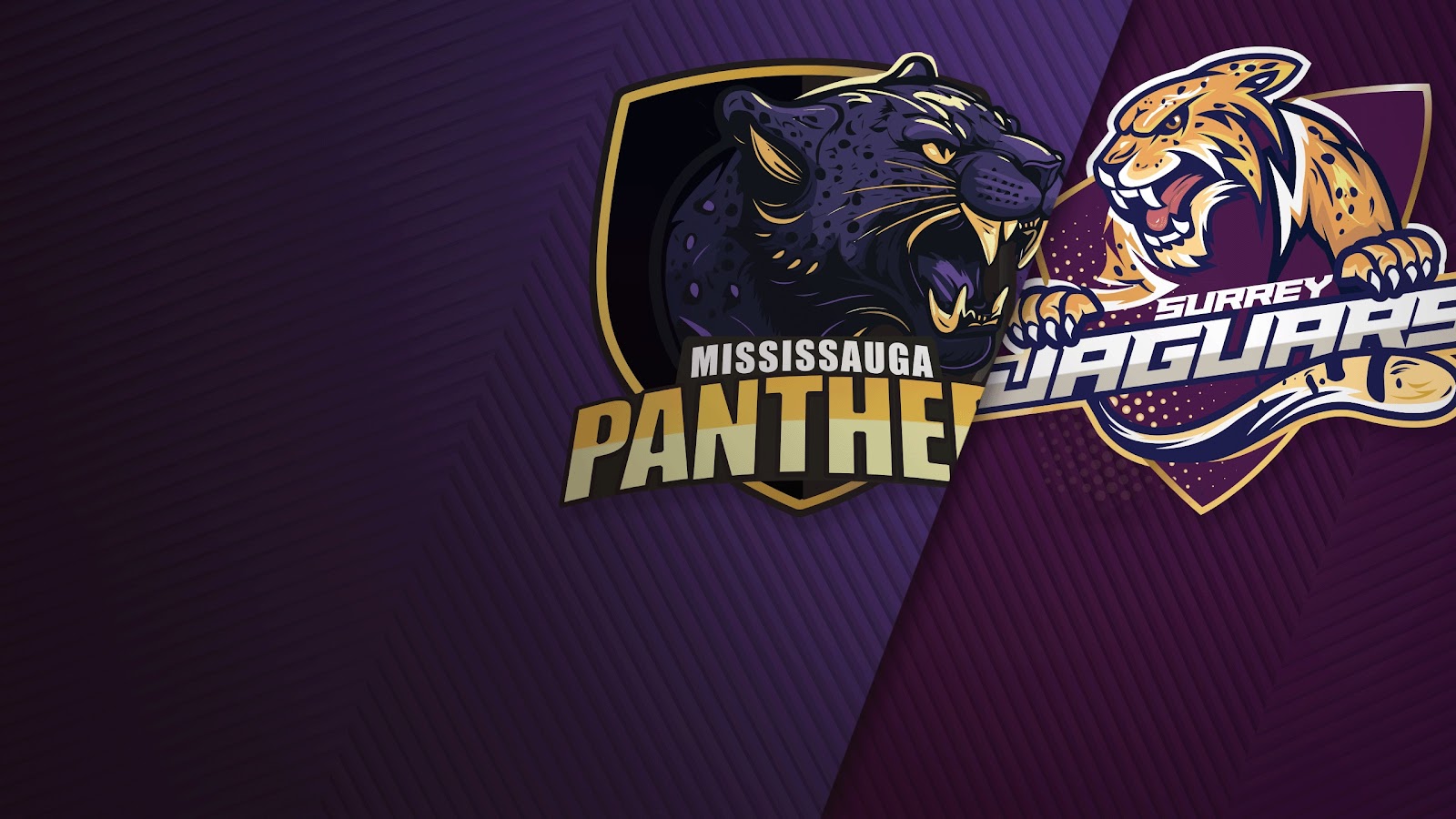 Mississauga v Surrey | Event | Kayo Sports