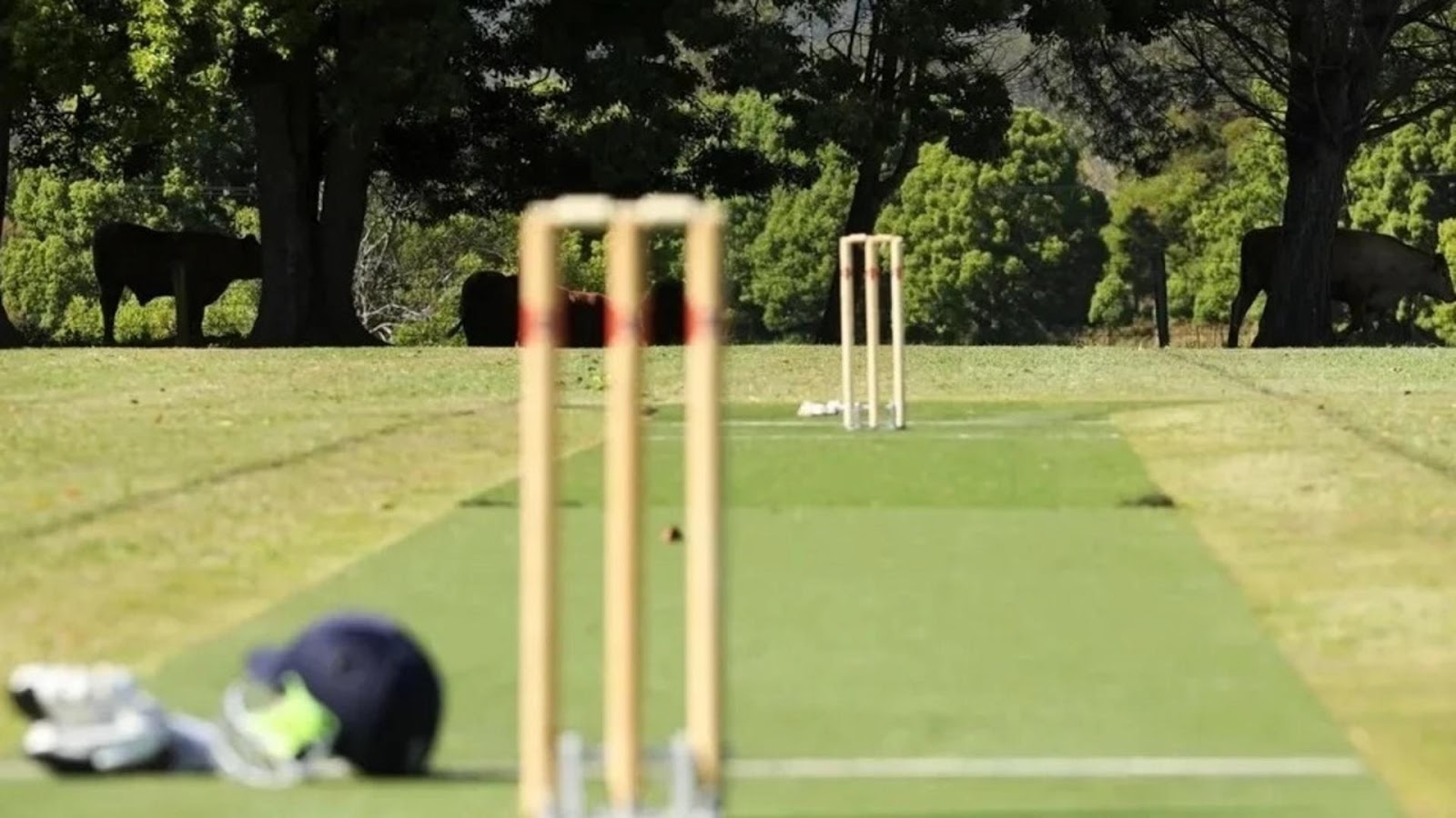 GLA vs WAS Dream11 prediction: Get fantasy team tips for One Day Cup 2023,  Match 26